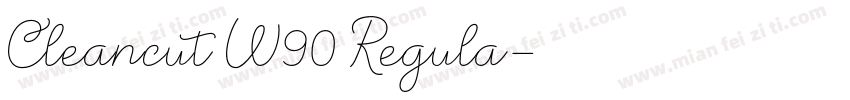 Cleancut W90 Regula字体转换
